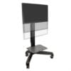 24-190-085 - Ergotron Neo-Flex® Mobile MediaCenter LD