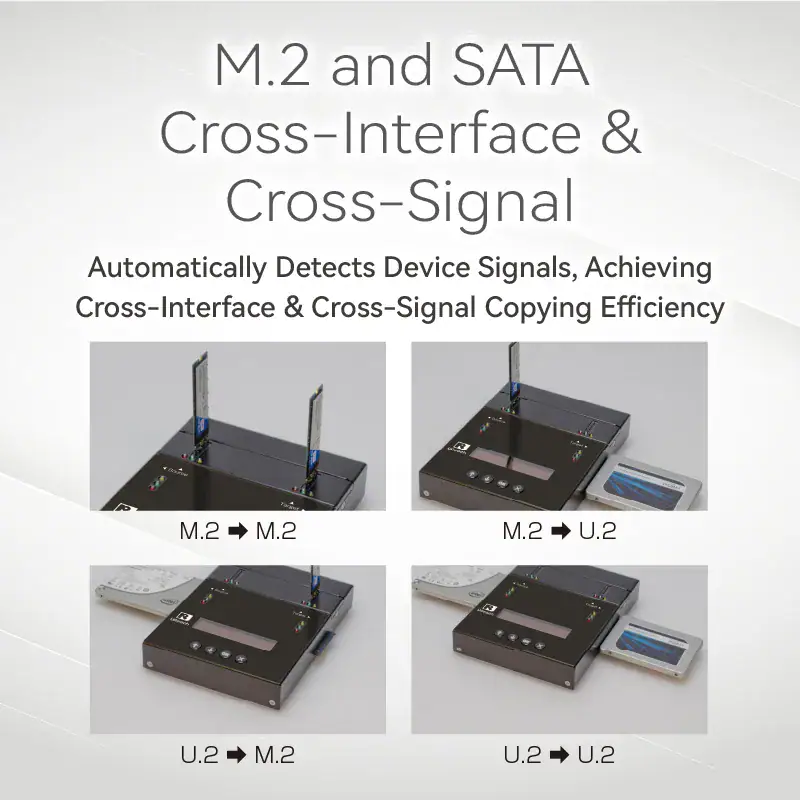 SP101M M2 Series 1 6 2