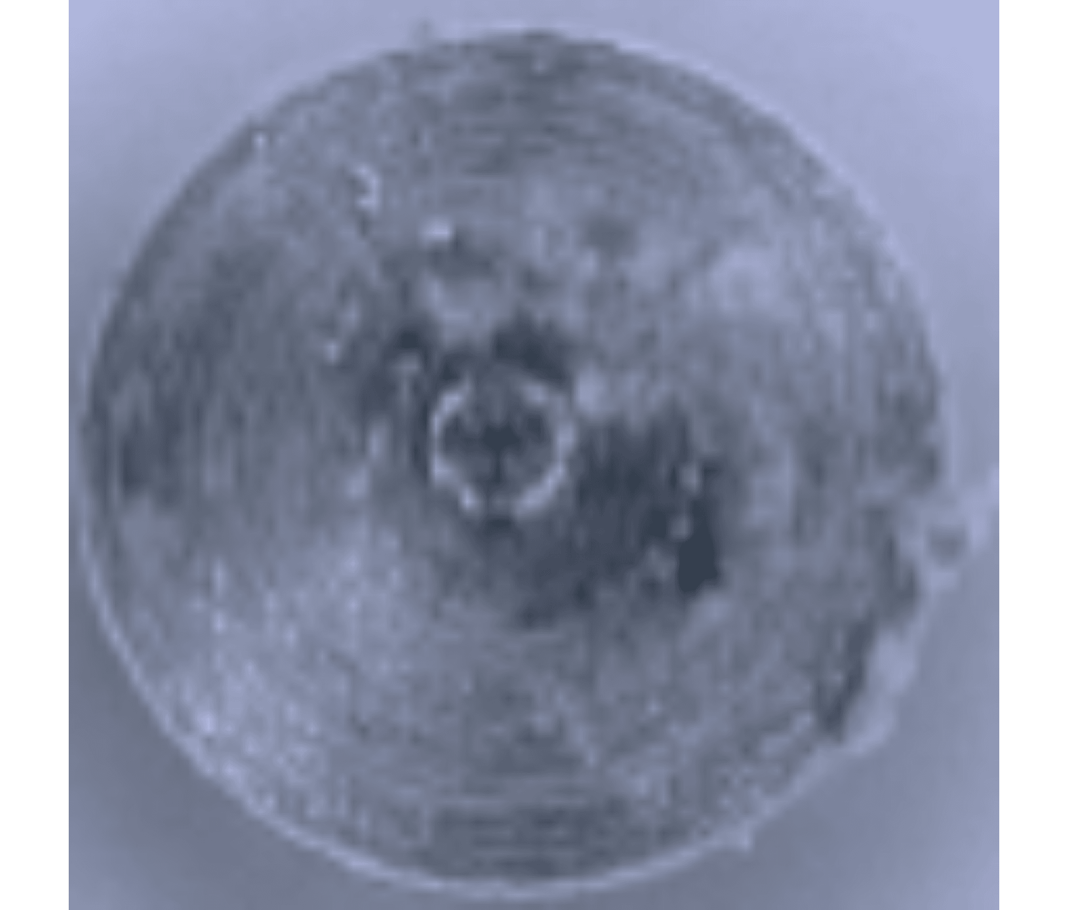 Titan1000 Probe 18 Pd Alloy Real Image